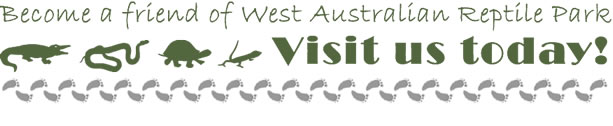 Become a friend of West Australian Reptile Park